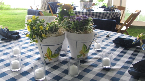 Potted Plants as Centerpieces